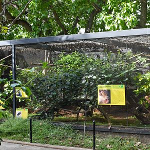 Sloth/Trumpeter/Motmot enclosure