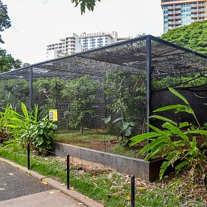 Bird-of-paradise enclosure