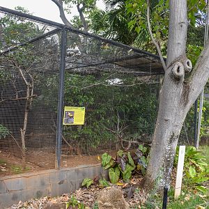 Bird-of-paradise enclosure