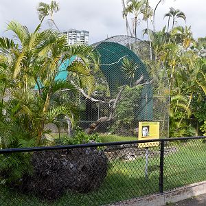 Barn owl enclosure (empty)