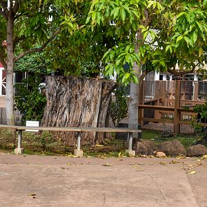Keiki Zoo - tortoise enclosure