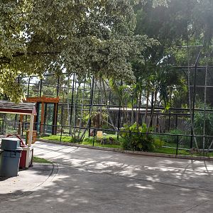 Sumatran tiger enclosure