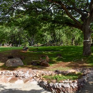 Bongo/crane/stork enclosure