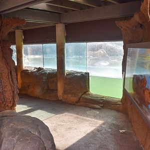Hippo enclosure