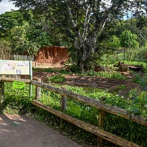 Warthog enclosure - empty