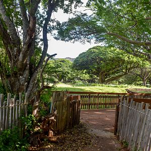 Bongo/crane/stork enclosure