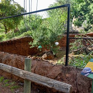 Sulcata tortoise enclosure