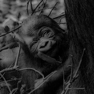 Effie's newborn baby- 9th February 2024