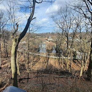 Waterfowl Lake from PC&A Deckwalk