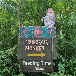 Proboscis Monkey sign