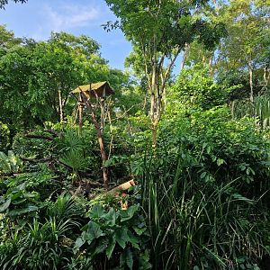 White-faced Saki / Black and Gold Howler Monkey exhibit