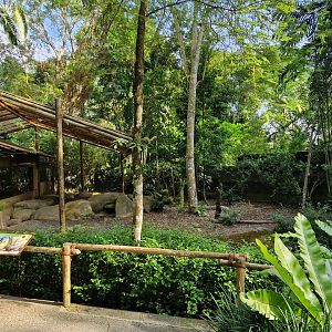 Komodo Dragon exhibit