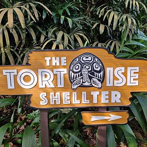 The Tortoise Shelter