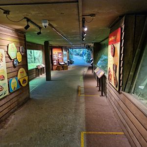 The Tortoise Shelter