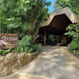 Fossa exhibit