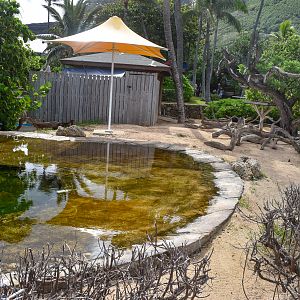 Frigatebird/shearwater enclosure