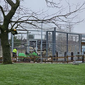 Snow Leppard Development