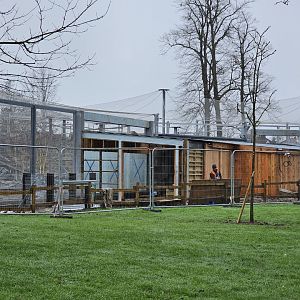 Snow Leppard Development