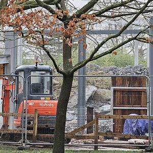 Snow Leppard Development