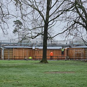 Snow Leppard Development