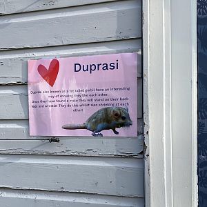 Duprasi sign, Beale Park, UK