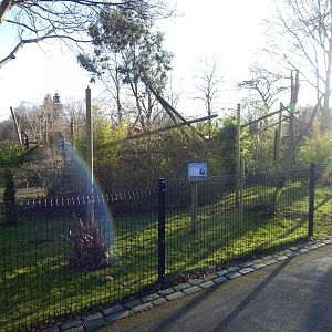 White-faced saki enclosure 260124