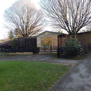 Cotton-top tamarin enclosure 260124