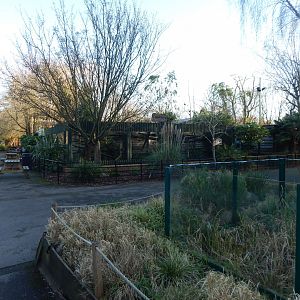 View towards one of the Ocelot enclosure 260124