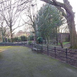 View towards Bush dog enclosure and Northern lynx enclosure 260124