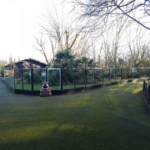 South American mixed exhibit 260124