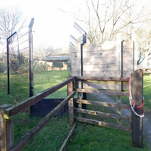 Colombian black spider monkey enclosure 260124