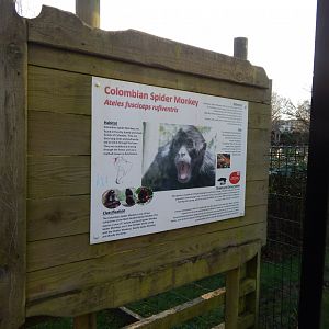 Colombian black spider monkey signage 260124