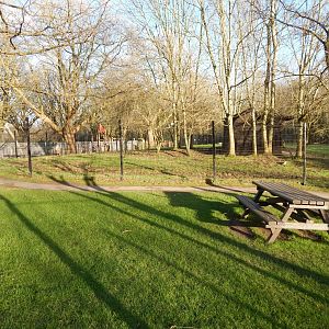 Western sitatunga enclosure 260124