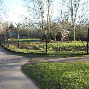 Western sitatunga enclosure 260124