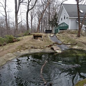 North American River Otter Exhibit