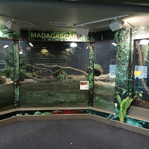 "Madagascar" Exhibit