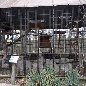 Red-Tailed Hawk Cage