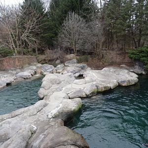 California Sea Lion Exhibit