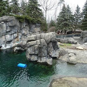 Polar Bear Exhibit