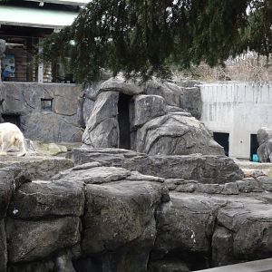 Polar Bear Exhibit