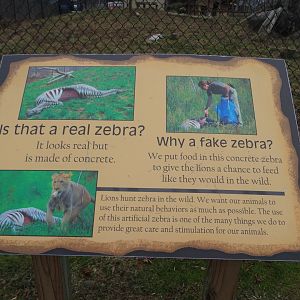 "Why a fake zebra?" Sign