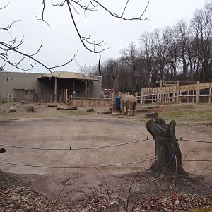 African Elephant Exhibit