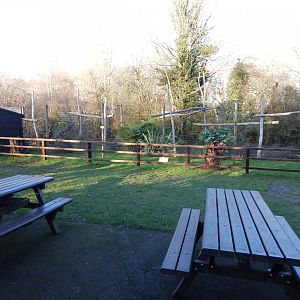 Ring-tailed lemur enclosure 260124