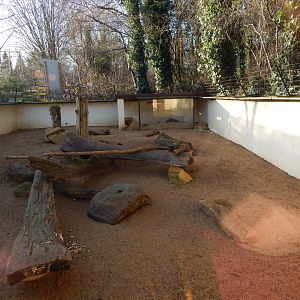 Meerkat and Cape porcupine enclosure 260124