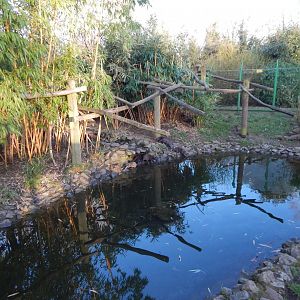 Asian small-clawed otter and Binturong enclosure 260124