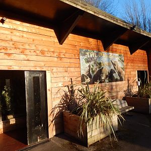 The Dragon's Lair - Komodo Dragon exhibit 260124