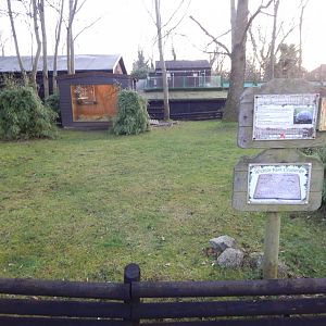 African spurred tortoise enclosure 260124