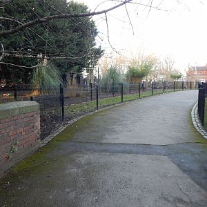 Greater rhea enclosure 260124