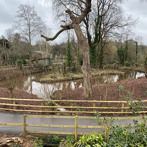 New developments near entrance 050224