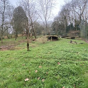 Sumatran tiger enclosure 050224
